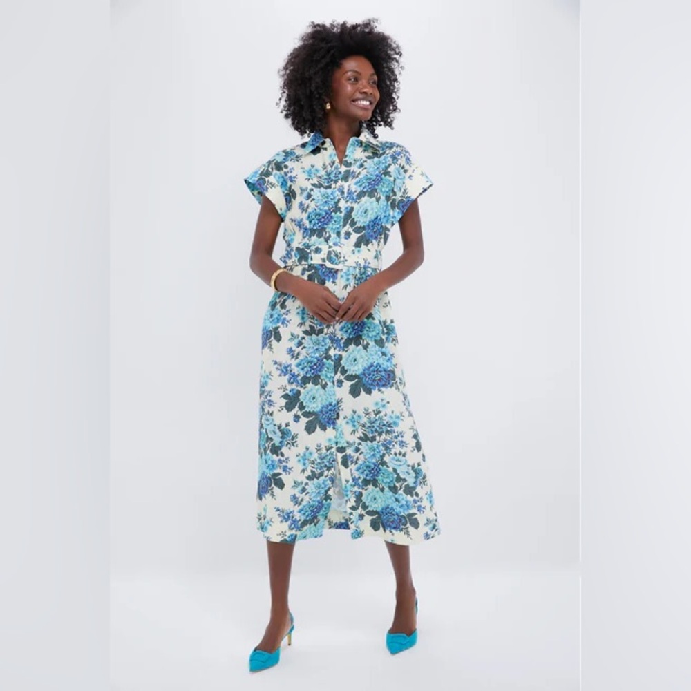 Tuckernuck Wild Zinnia Linen Chloe Dress